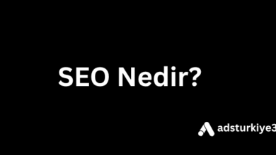 SEO Nedir
